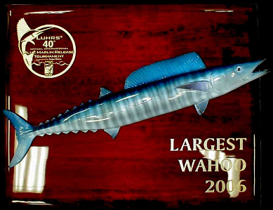 16" Wahoo on a Rosewood "piano Finish" Plaque with Gold Laser Engraving