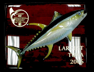 16" Yellowfin Tuna Plaque