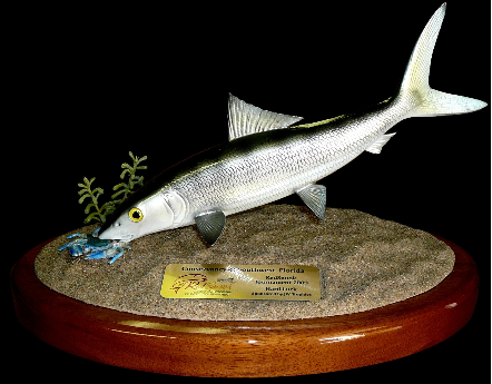 14" Bonefish Eats a Crab on a Sand Sculpture and Mahogany Base