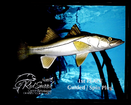 14" Snook on a Photo Plaque with Gold Laser Engraving